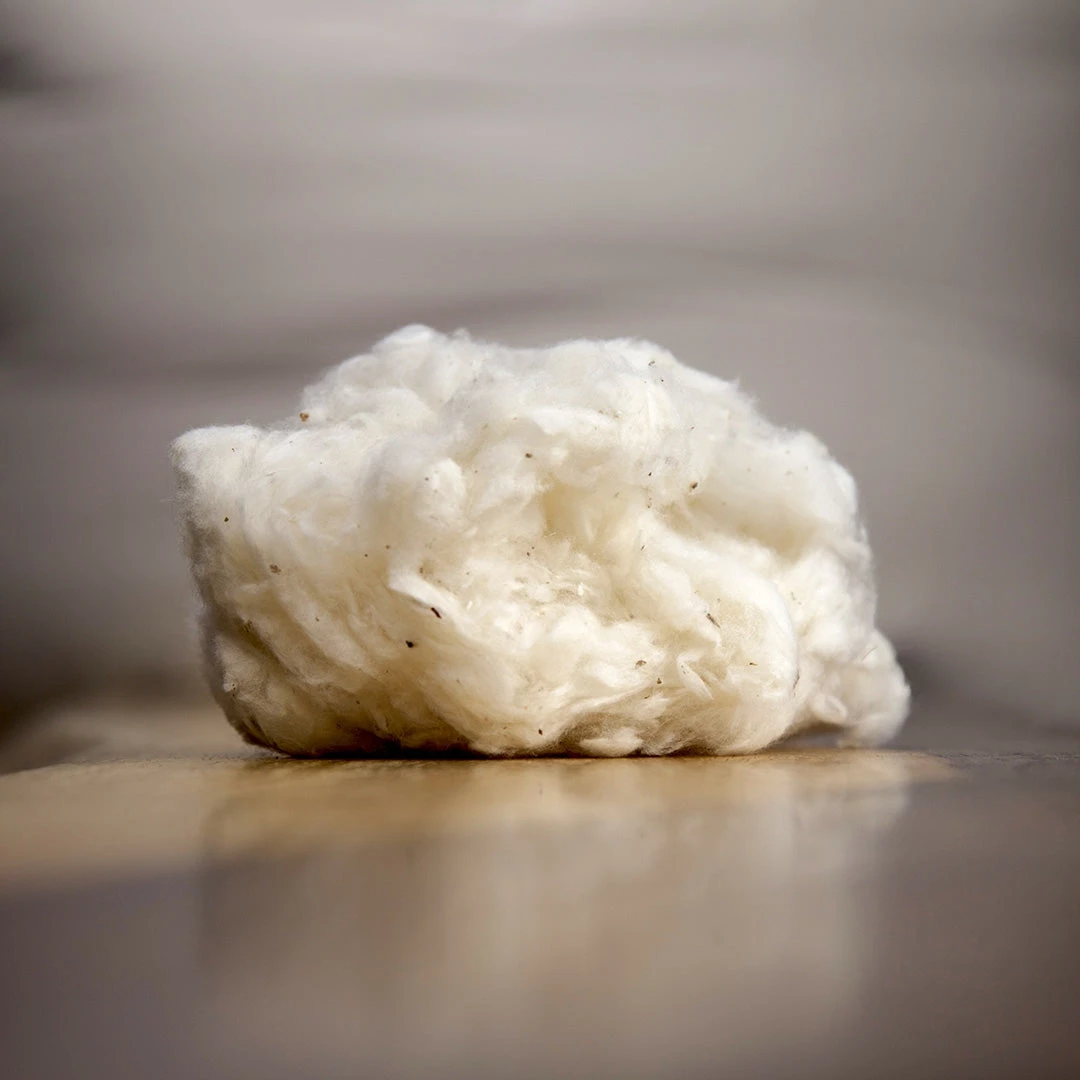 100% Organic Cotton Pillows by BedBath Specialty - Travel, Sofa, Bolster (Made in USA) 4 Vendor-unknown BedBath Specialty 100% Organic Pillows (Travel, Sofa, Bolster) (Made In USA)