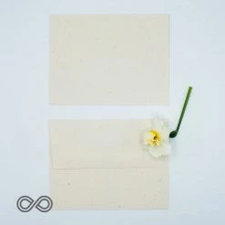 Vendor-unknown Tree-Free Hemp Envelopes