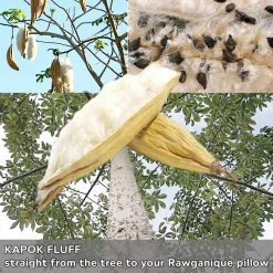 Vendor-unknown BedBath KEA LANI Vegan 100% Wild Kapok Bed Pillow (Made In USA)