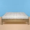 Vendor-unknown BedBath FAIRHAVEN Vegan Firm 100% Organic Cotton Futon Mattress