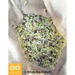 Vendor-unknown 100% Hemp Sprouting Bag - Nut Milk Bag Kitchen