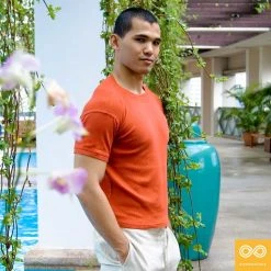 Vendor-unknown CHELSEA 100% Organic Cotton Ribbed Knit Tee T-Shirts