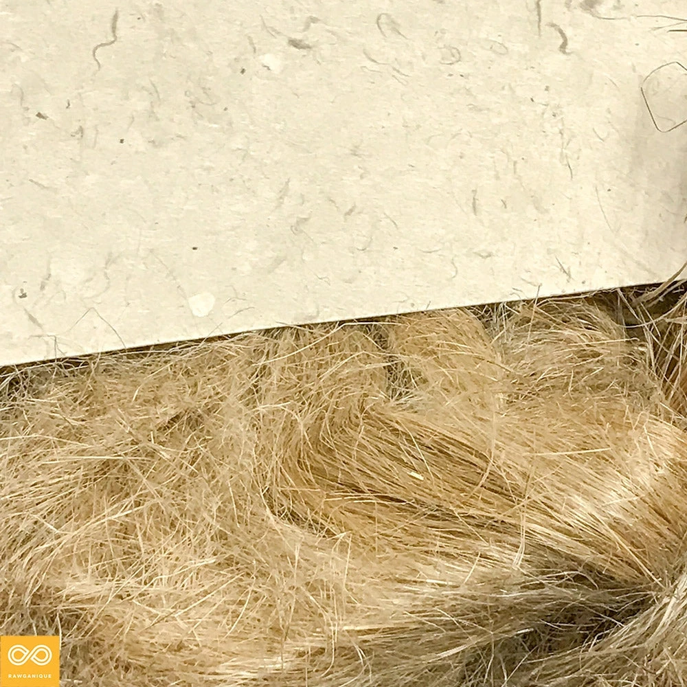 100% Organic Flax Linen Sliver - Top - Roving (1 Kg/2.2lbs) for Knitting, Weaving, Felting | BedBath DIY Fiber 2 Vendor-unknown BedBath 100% Organic Flax Linen Sliver - Top - Roving (1 Kg/2.2lbs) (For Knitting, Weaving, Felting)